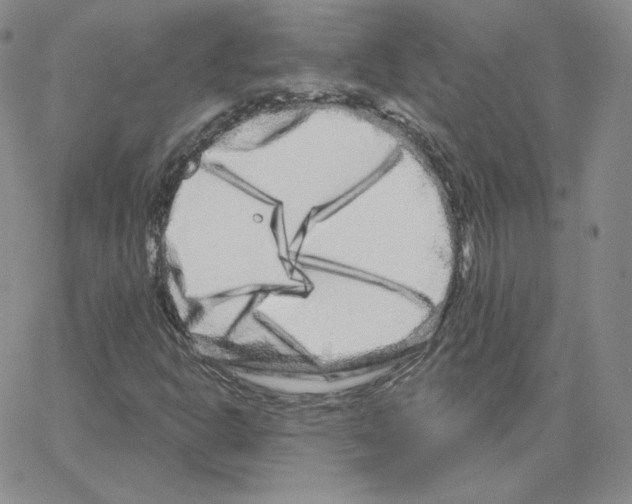 X0000064761302200603131358