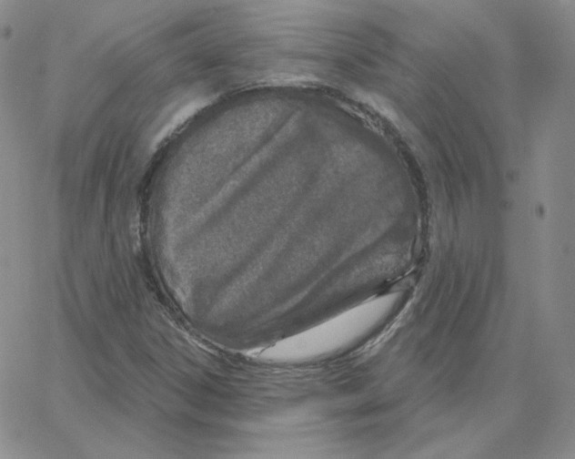 X0000064761306200603131358