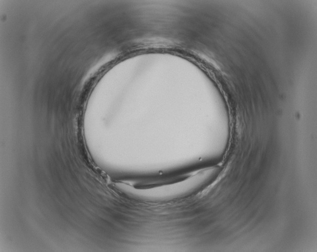 X0000064761309200603131358