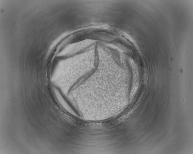 X0000064761310200603131358