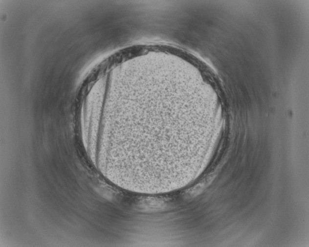 X0000064761311200603131358