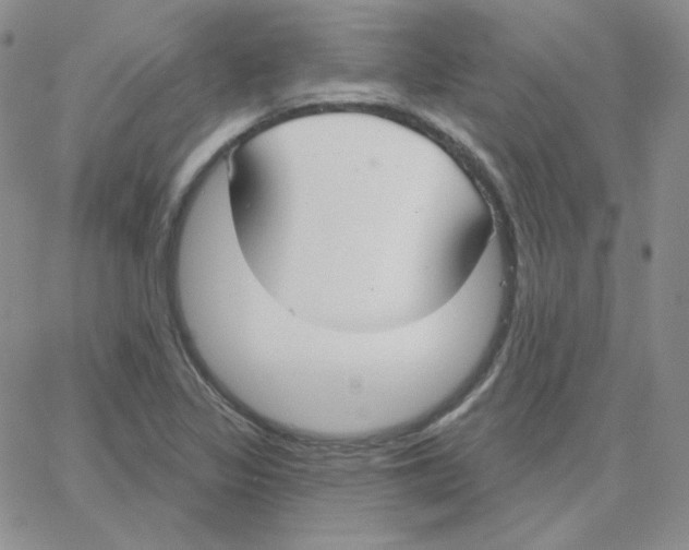 X0000064761317200603131359