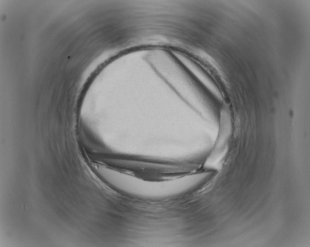 X0000064761326200603131359