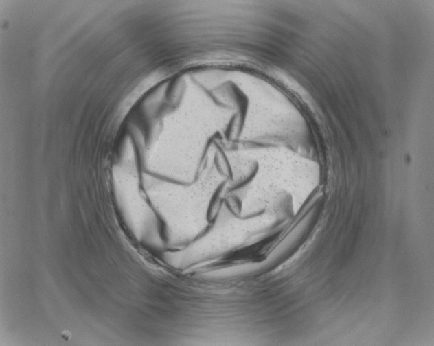 X0000064761329200603131359