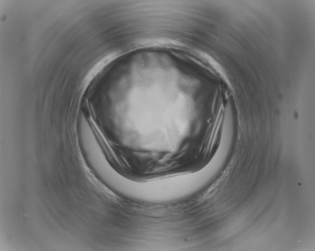 X0000064761330200603131359