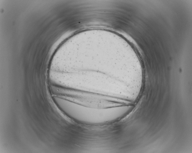 X0000064761333200603131359