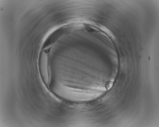 X0000064761334200603131359