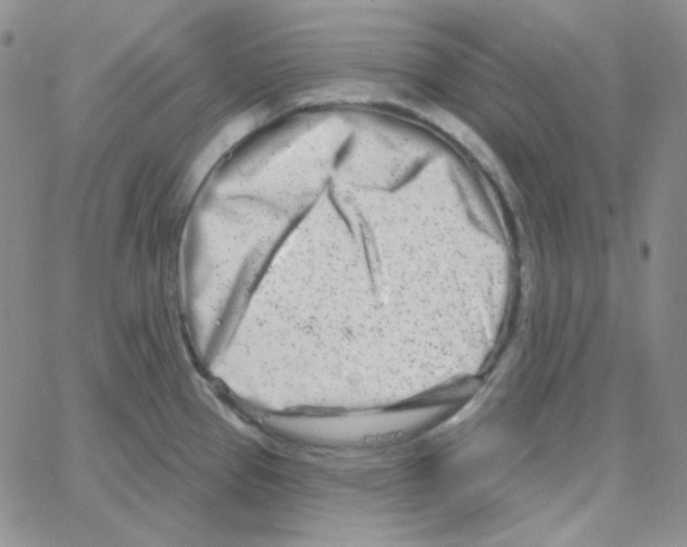 X0000064761337200603131359