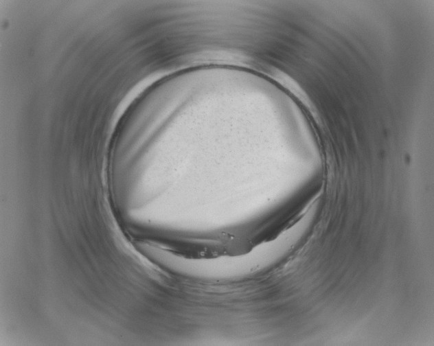 X0000064761339200603131359