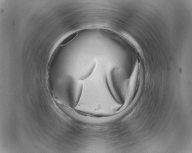 X0000064761340200603131359