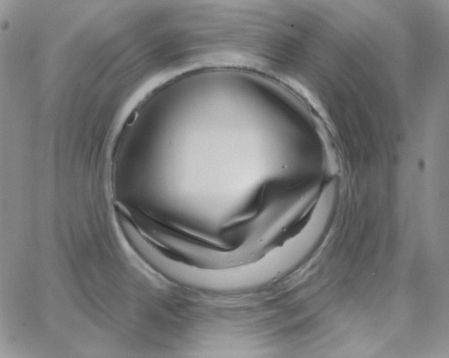 X0000064761342200603131359