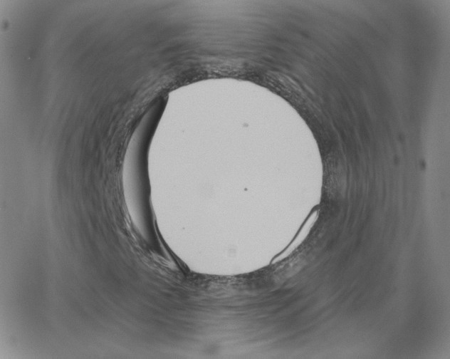 X0000064761345200603131358