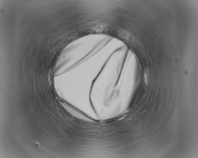 X0000064761347200603131358