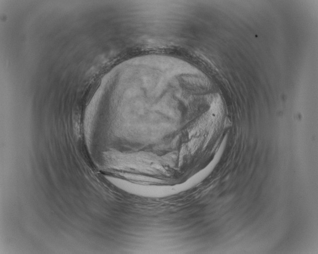 X0000064761348200603131358