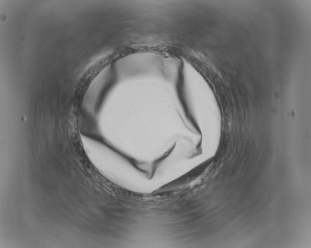 X0000064761350200603131358