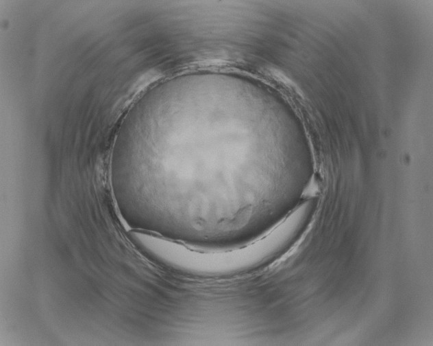 X0000064761353200603131358