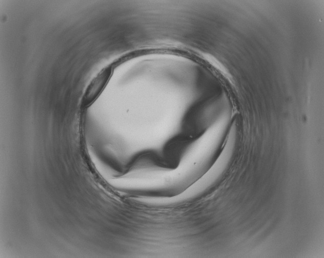 X0000064761364200603131358