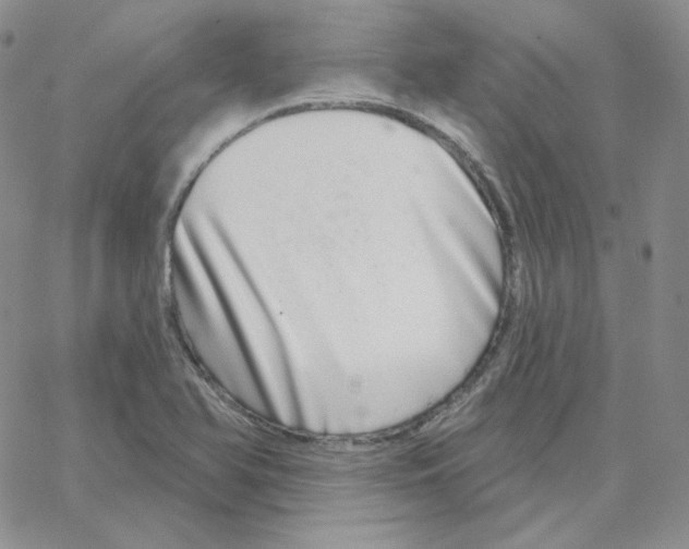X0000064761366200603131358