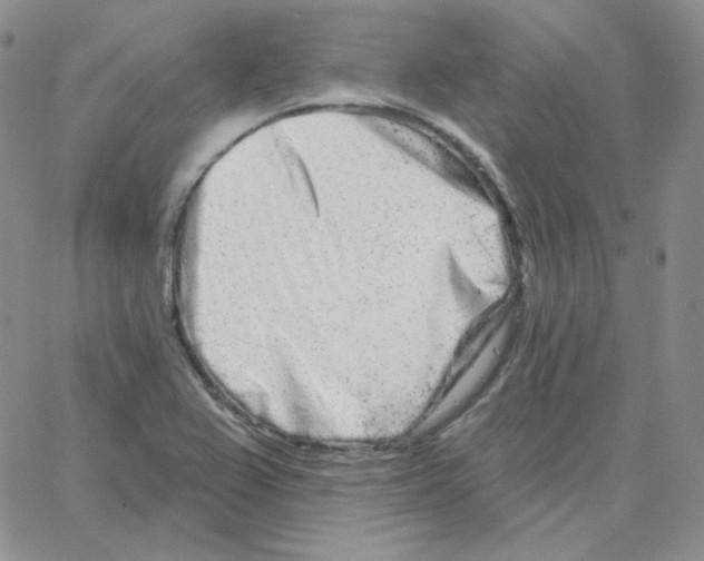 X0000064761367200603131358