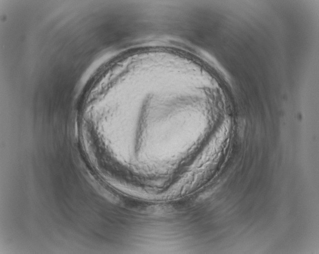 X0000064761368200603131358