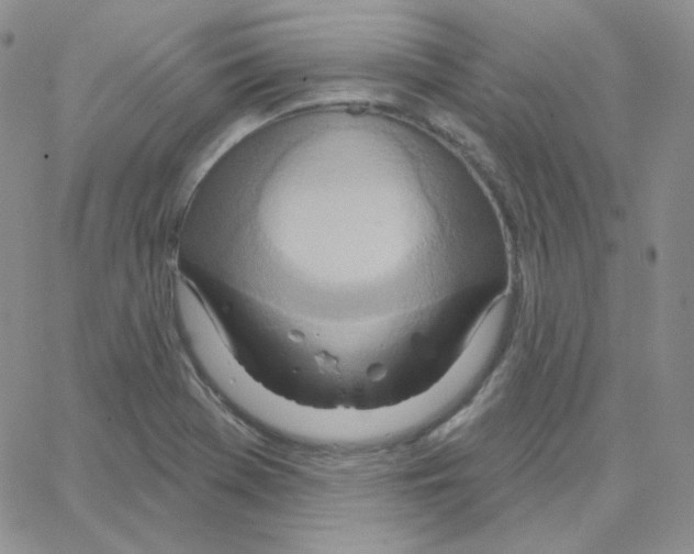 X0000064761369200603131358