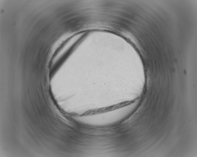 X0000064761371200603131358