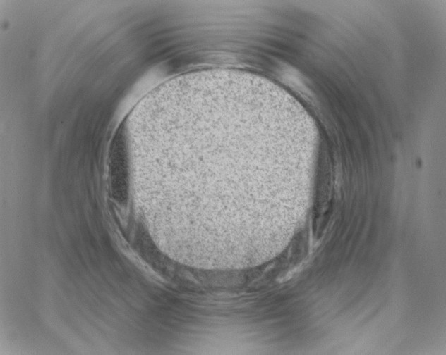 X0000064761378200603131358