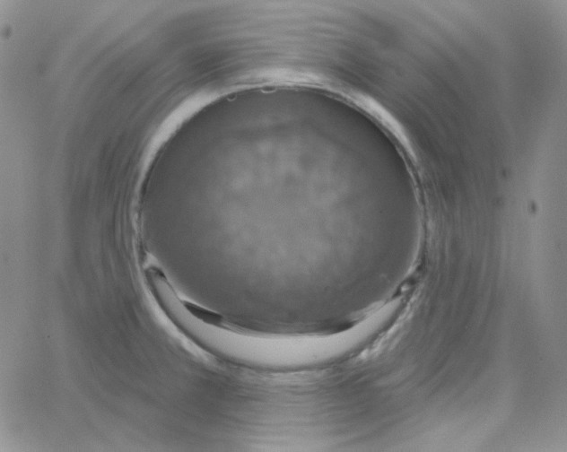 X0000064761381200603131358