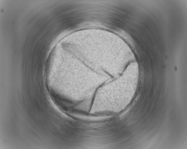 X0000064761382200603131358