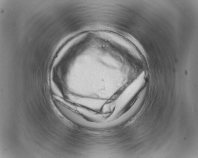 X0000064761388200603131358