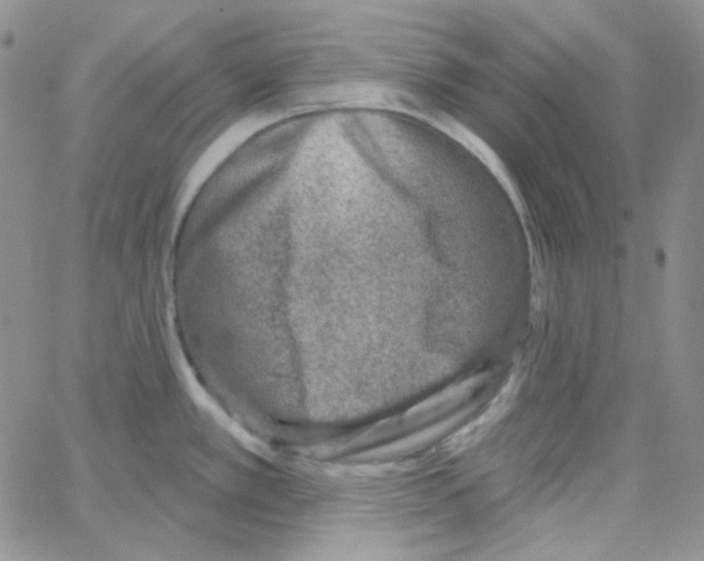 X0000064761389200603131357