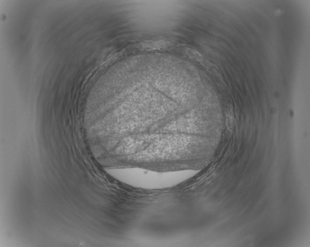 X0000064761393200603131357