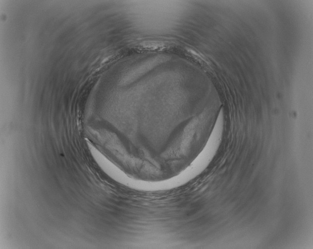 X0000064761394200603131357