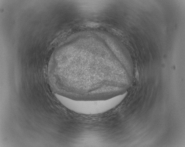 X0000064761397200603131357