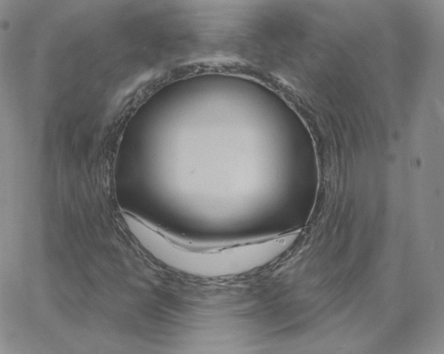 X0000064761398200603131357