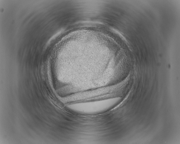X0000064761403200603131357