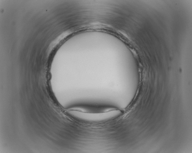 X0000064761410200603131357