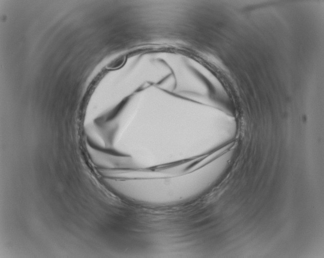 X0000064761412200603131357
