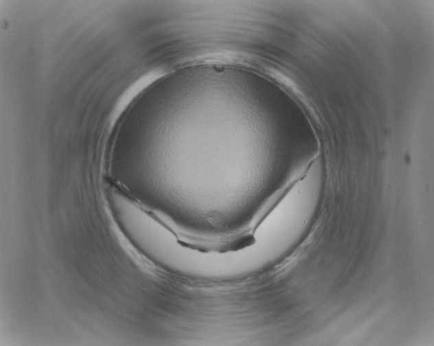 X0000064761426200603131357