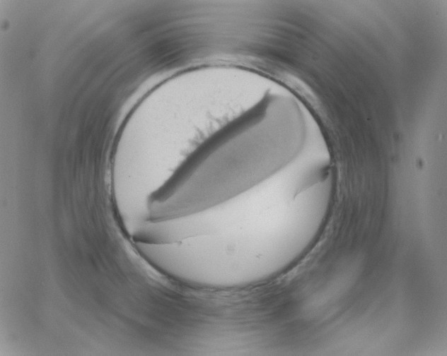 X0000064761428200603131357