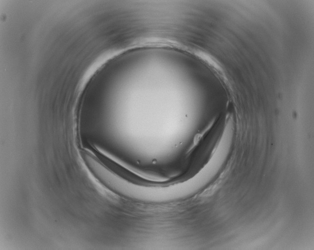 X0000064761430200603131357