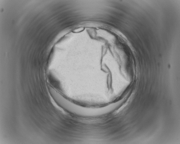 X0000064761433200603131357