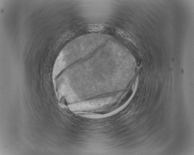 X0000064761441200603131357