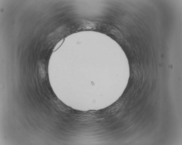 X0000064761442200603131357