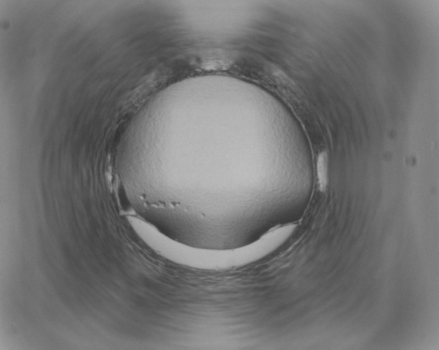 X0000064761443200603131357