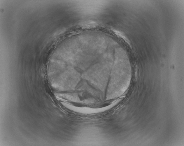 X0000064761445200603131356