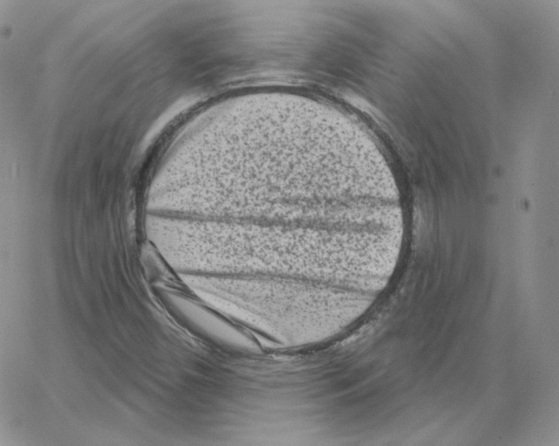 X0000064761450200603131356