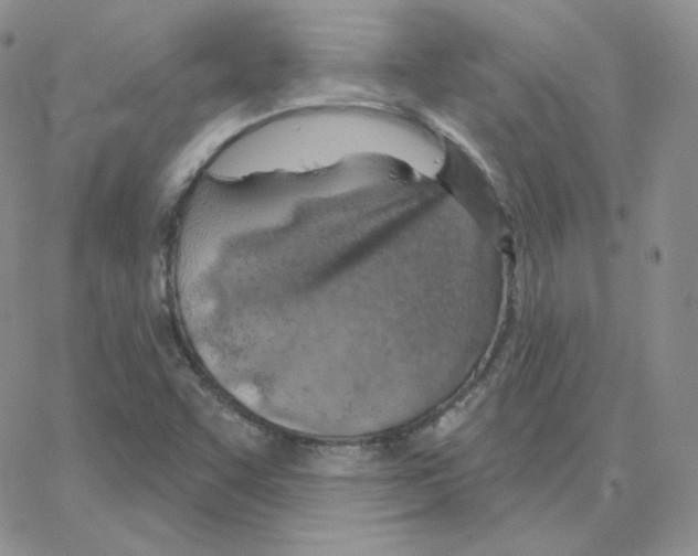 X0000064761455200603131356