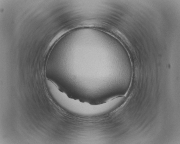 X0000064761465200603131356