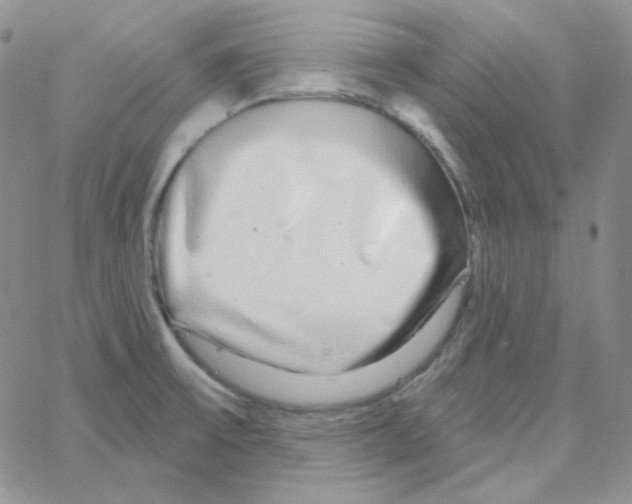 X0000064761475200603131356